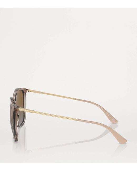 Vogue Brown Acetate Vo5564S Sunglasses