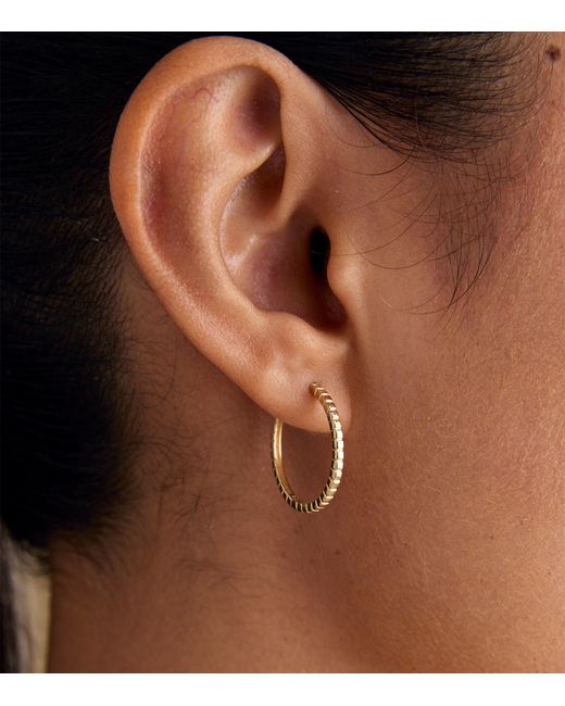 Astrid & Miyu Metallic Ridged Hoop Earrings