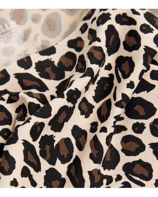 Chantelle Black Leopard Print Soft Stretch Brazilian Briefs