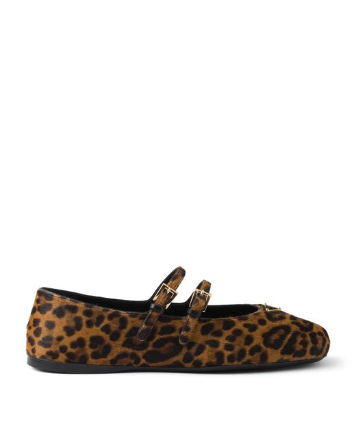 Prada Brown Low Shoes