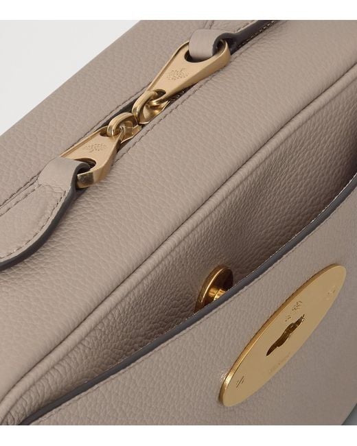 Mulberry Brown Leather Darley Camera Bag