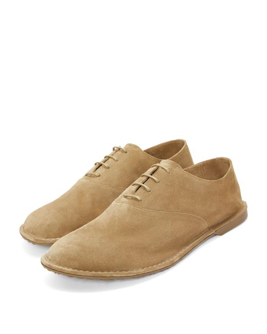 Loewe Brown Suede Folio Lace-up Shoes for men