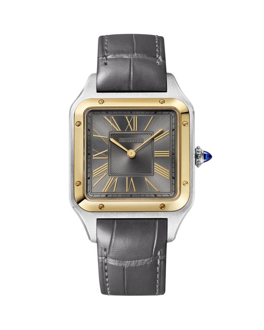 Cartier Gray Large Stainless Steel And Santos-Dumont Watch for men