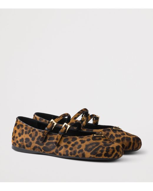 Prada Brown Low Shoes