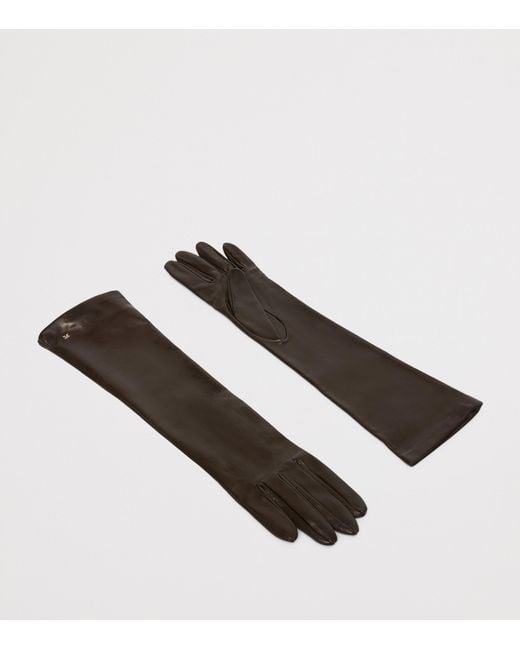 Max Mara Brown Lambskin Long Gloves