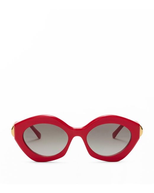 Loewe Pink Acetate Coil Cat Eye Sunglasses