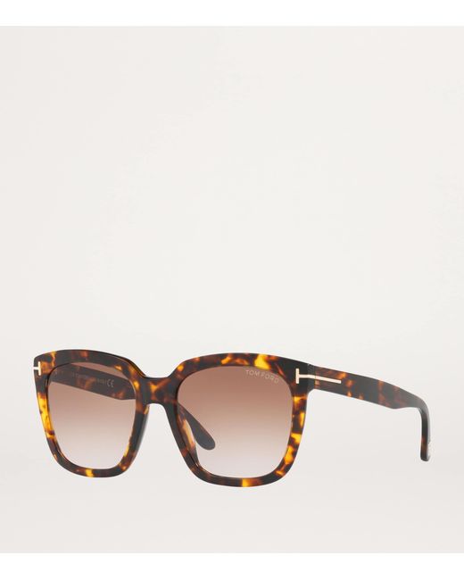 Tom Ford Brown Rounded Square Sunglasses