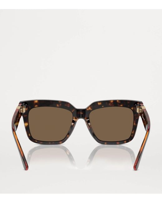 Burberry Brown Acetate Be4419 Sunglasses