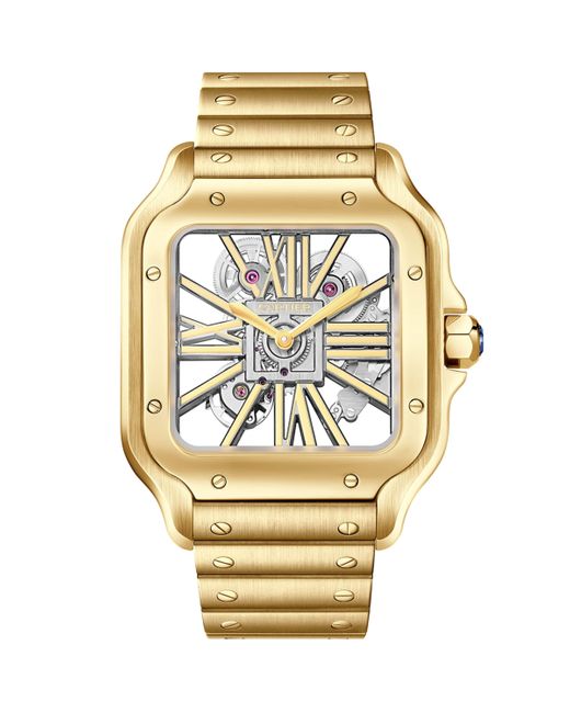 Cartier Metallic Large Santos De Skeleton Watch for men