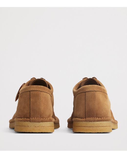 Bottega Veneta Brown Suede Daddy Derby Shoes for men