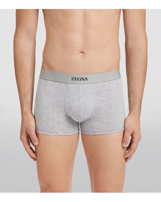 Zegna Gray Logo Trunks for men