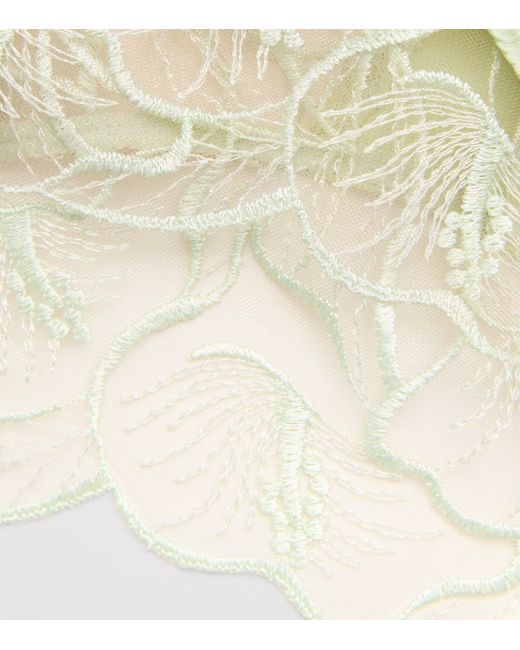 Kiki de Montparnasse Green Lace Calla Lily Briefs