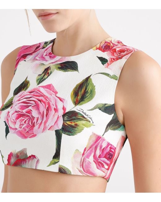 Dolce & Gabbana Pink Floral Crop Top