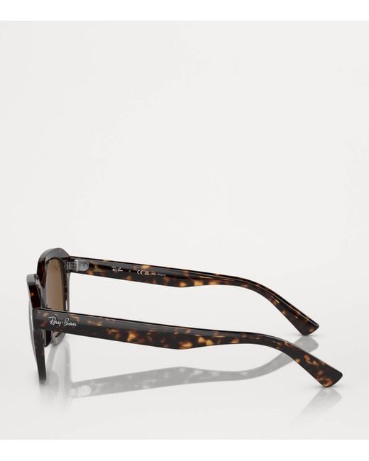 Ray-Ban Brown Propionate 0Rb4398 Sunglasses