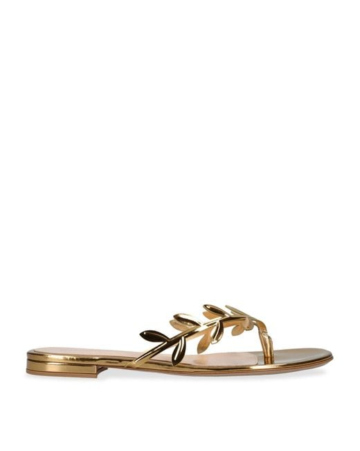 Gianvito Rossi Natural Laurel-Detail Flavia Flip-Flops