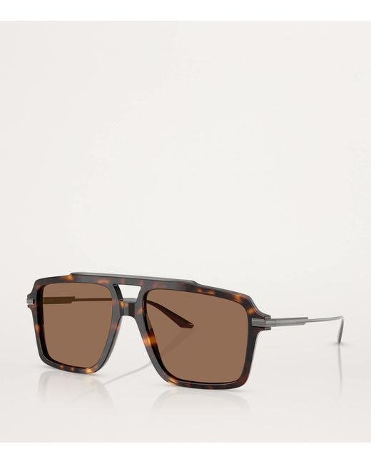 Dolce & Gabbana Brown Acetate Aviator Sunglasses for men