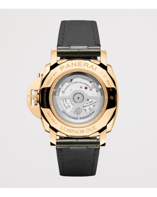 Panerai Metallic Luminor Due Watch for men