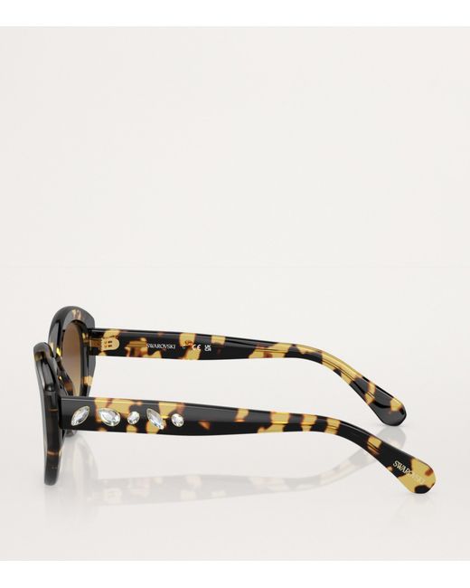 Swarovski Brown Oval Sk6005 Sunglasses