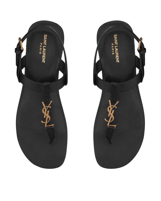 Saint Laurent Brown Leather Cassandra Sandals for men