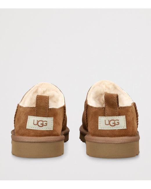 Ugg Brown Suede Classic Micro Boots for men