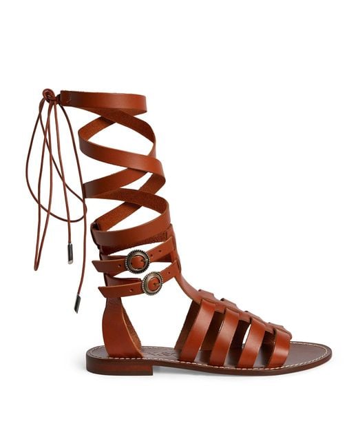 MAX&Co. Brown Leather Gladiator Sandals
