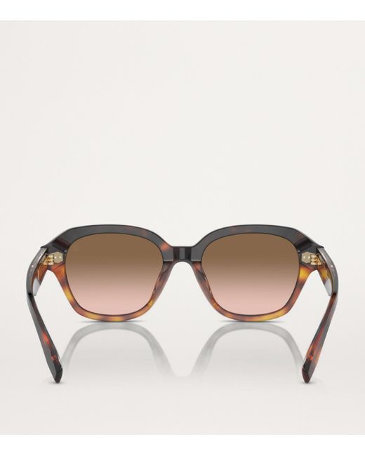 Brunello Cucinelli Brown Titanium Bc4004S Sunglasses