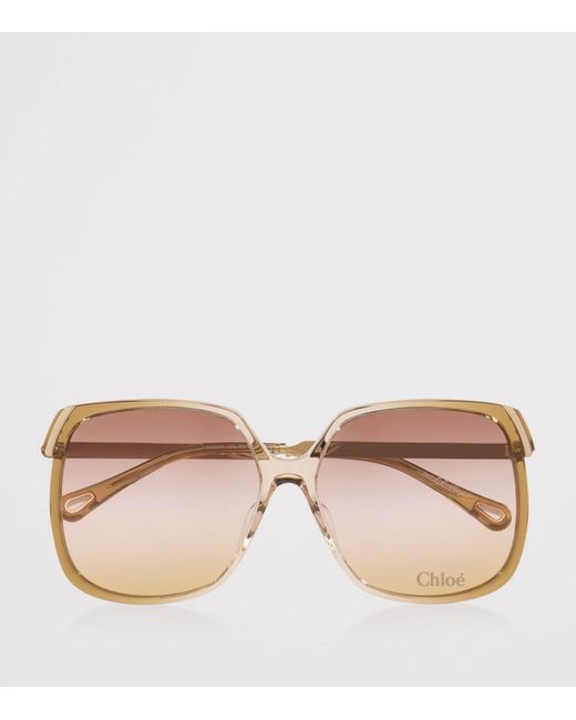 Chloé Brown Acetate Ch0286S Rectangle Sunglasses