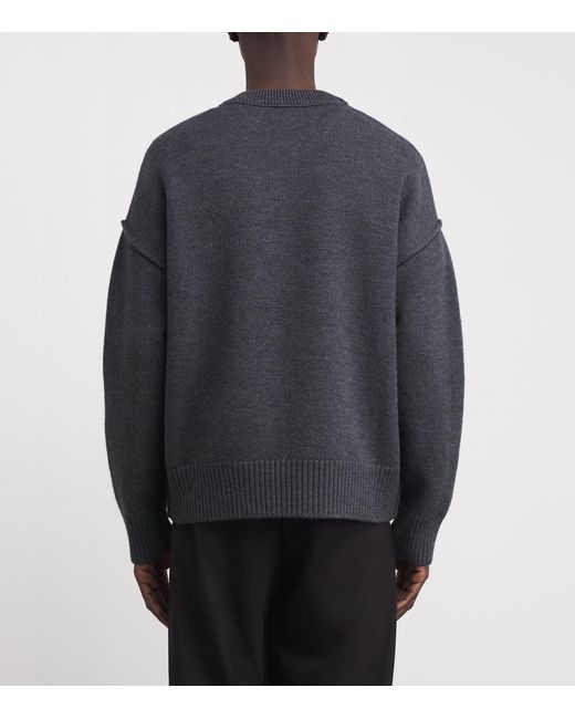 AMI Blue Sweater for men