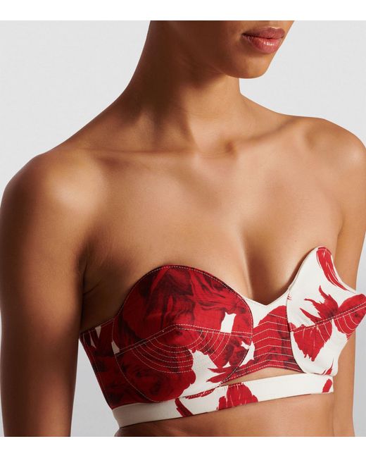 Balmain Roses Print Bra Top in Red