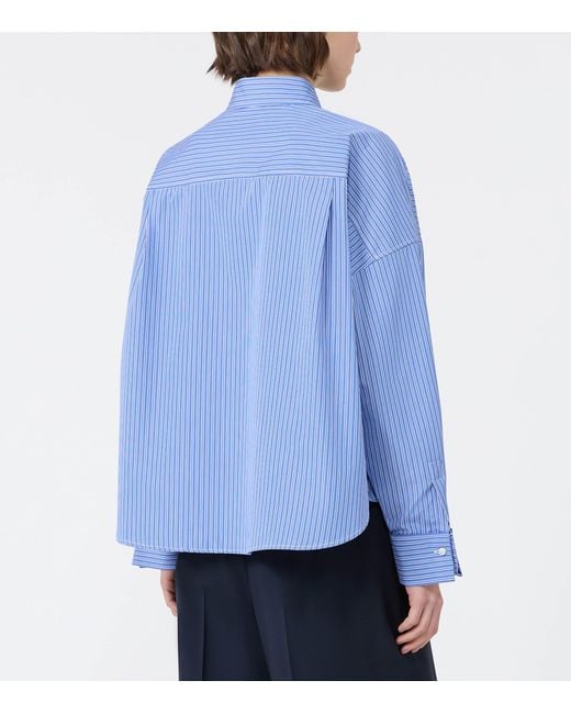 Weekend by Maxmara Blue Cotton Stripe Cropped Shirt