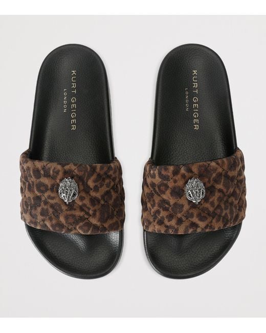 Kurt Geiger Brown Meena Eagle Slides