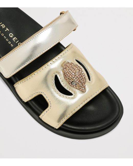 Kurt Geiger Multicolor Kurt Geiger Combination Eagle Cut Out