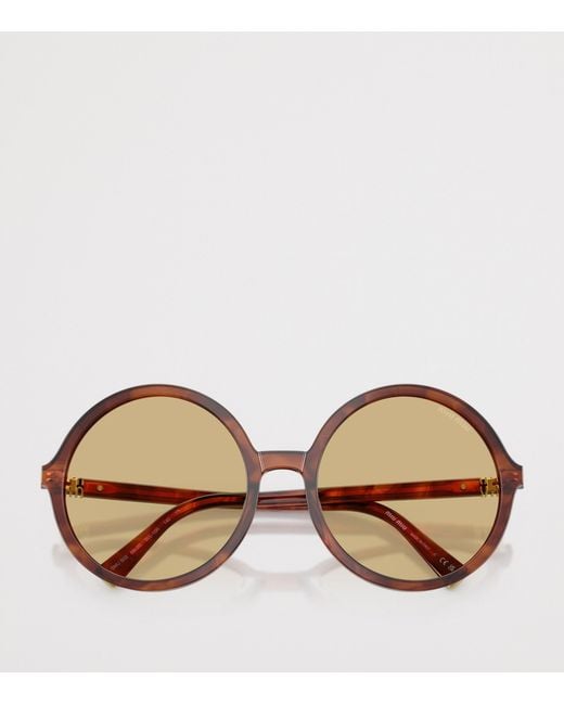 Miu Miu Brown Acetate Oversized Round Sunglasses