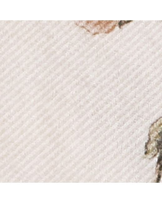 Colombo Natural Cashmere-Silk Printed Scarf