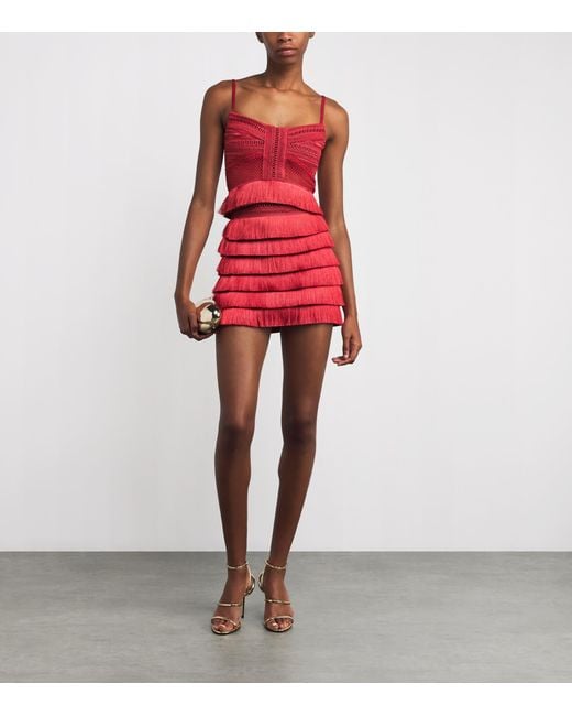 PATBO Red Fringed Radiant Crop Top