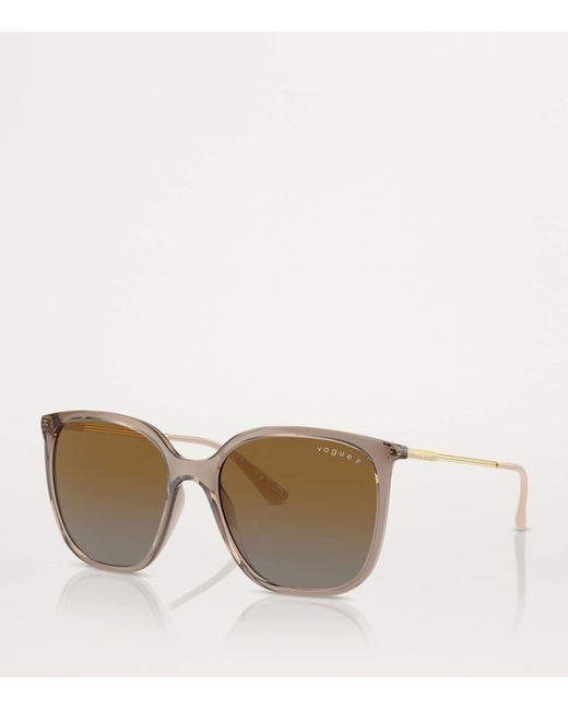 Vogue Brown Acetate Vo5564S Sunglasses