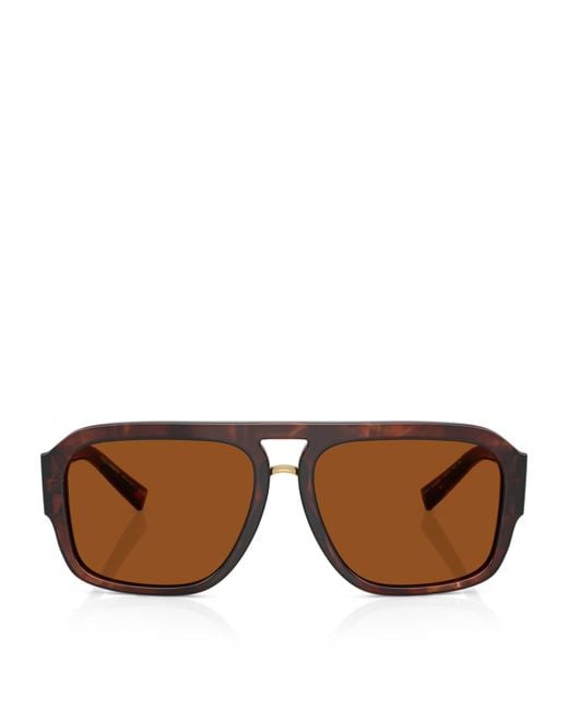 Dolce & Gabbana Brown Acetate Pilot Sunglasses for men