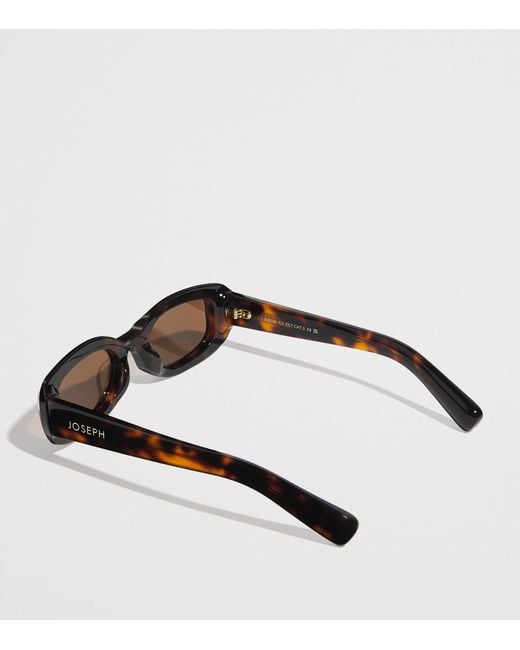 Joseph Brown Oval Bahia Sunglasses
