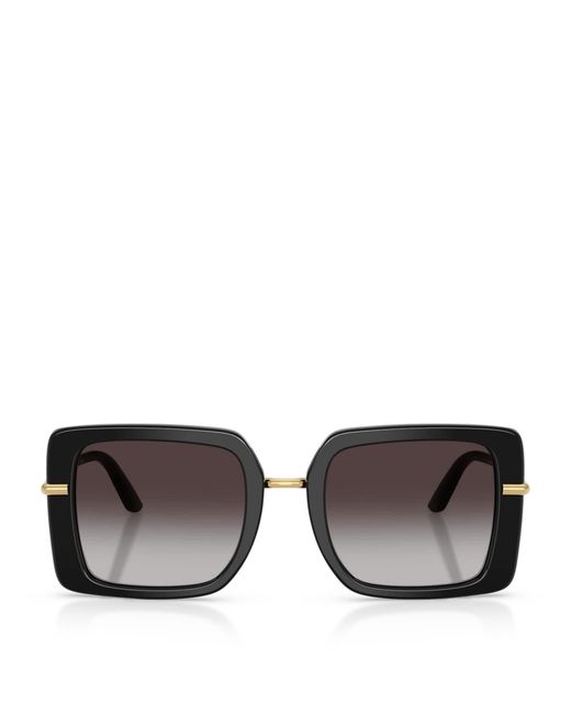 Dolce & Gabbana Brown Acetate Dg4481 Dna Square Sunglasses