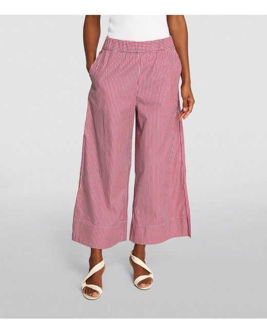 MAX&Co. Pink Cotton Poplin Cropped Trousers