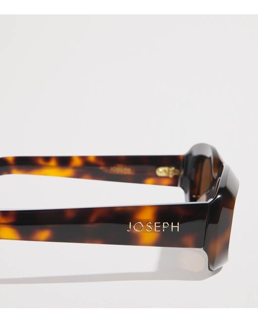 Joseph Brown Oval Bahia Sunglasses