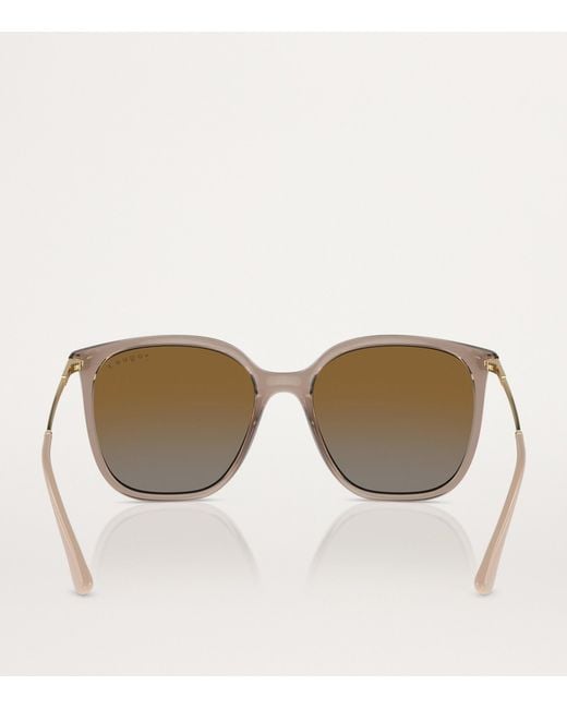 Vogue Brown Acetate Vo5564S Sunglasses