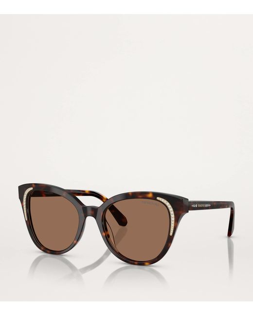 Swarovski Brown Acetate Sk6031 Sunglasses