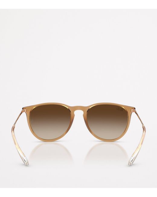 Ray-Ban Brown Rb4171 Erika Classic Sunglasses