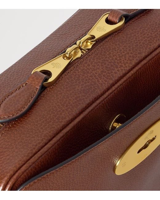 Mulberry Brown Leather Darley Camera Bag