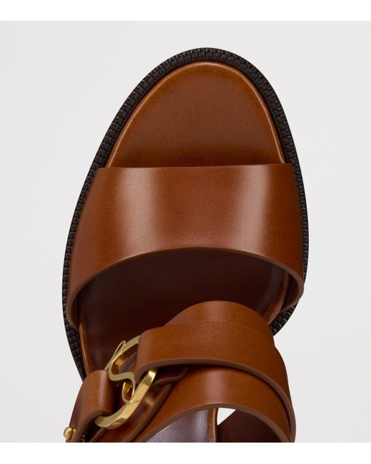 Christian Louboutin Brown Her