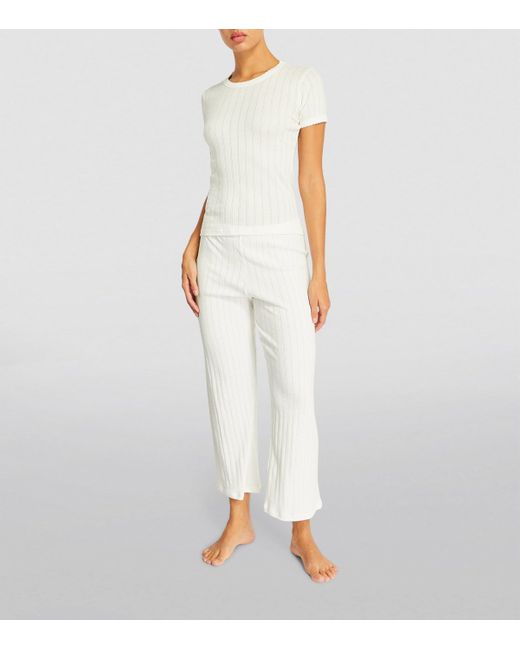 Leset White Rib-Knit Pointelle T-Shirt