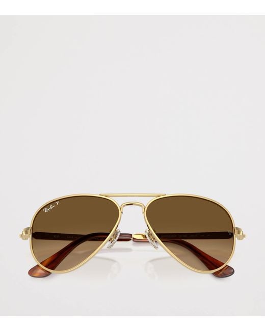 Ray-Ban Brown Rb3925 Aviator Max Sunglasses