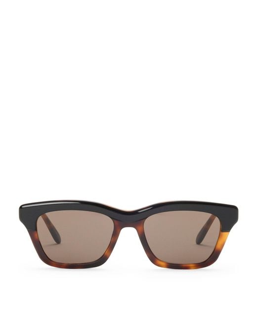 Loewe Brown Acetate Sigma Slim Sunglasses for men