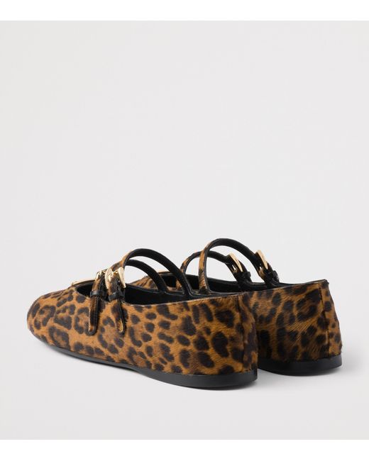 Prada Brown Low Shoes